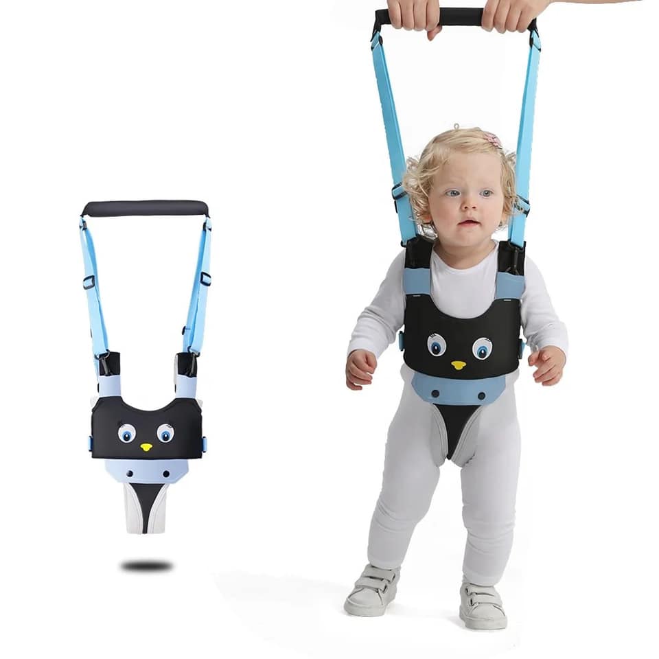 Assistant Walker