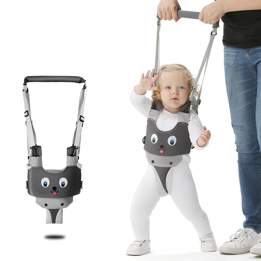 Assistant Walker