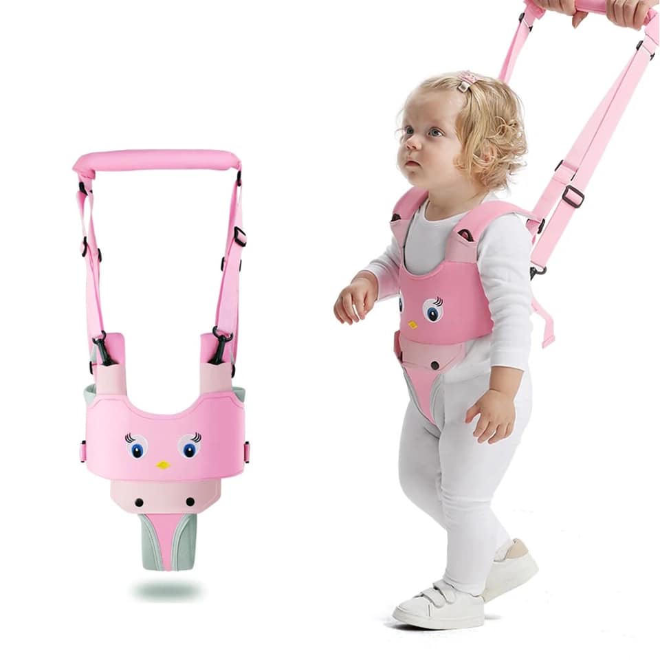 Assistant Walker